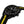 TISSOT 天梭 PR 100 Tour de France 環法特別版PVD黑色石英計時腕錶 T1504173705700