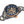 RADO 雷達錶 Captain Cook 庫克船長高科技電漿陶瓷PVD玫瑰金鏤空潛水腕錶 43mm R32148172