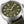 Hamilton 漢米爾頓 Khaki Field 卡其陸戰系列動力儲存手上鍊機械腕錶 40mm H69509960
