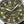 Hamilton 漢米爾頓 Khaki Field 卡其陸戰系列自動上鍊機械錶 42mm H70605160