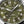 Hamilton 漢米爾頓 Khaki Field 卡其陸戰系列自動上鍊機械錶 42mm H70605560
