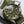 Hamilton 漢米爾頓 Khaki Navy 卡其海軍系列 Scuba 潛水80小時機械錶 40mm H82375961 - 新萬國鐘錶