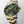 LONGINES 浪琴 HydroConquest 深海征服者系列浪鬼陶瓷潛水機械錶 41mm L37813067 綠金黃色PVD塗層