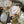 TISSOT BELLISSIMA 天梭優雅羅馬石英PVD玫瑰金女士腕錶 26mm T1260103601300